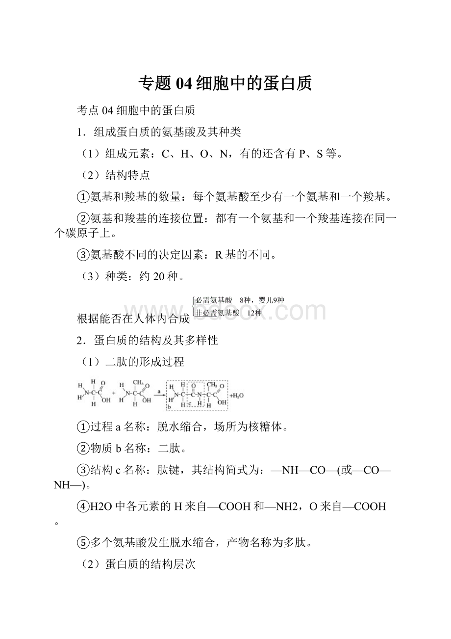 专题04细胞中的蛋白质.docx