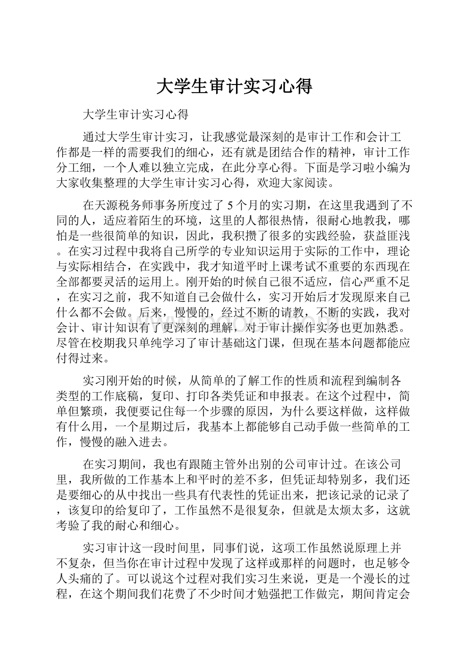 大学生审计实习心得.docx