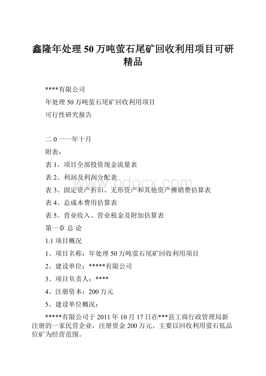 鑫隆年处理50万吨萤石尾矿回收利用项目可研精品.docx_第1页