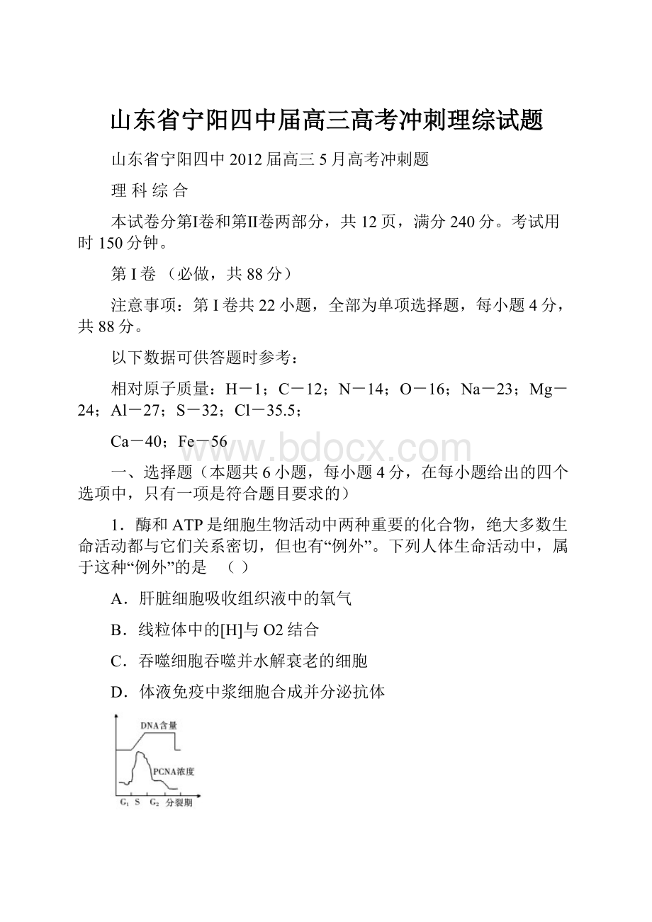 山东省宁阳四中届高三高考冲刺理综试题.docx