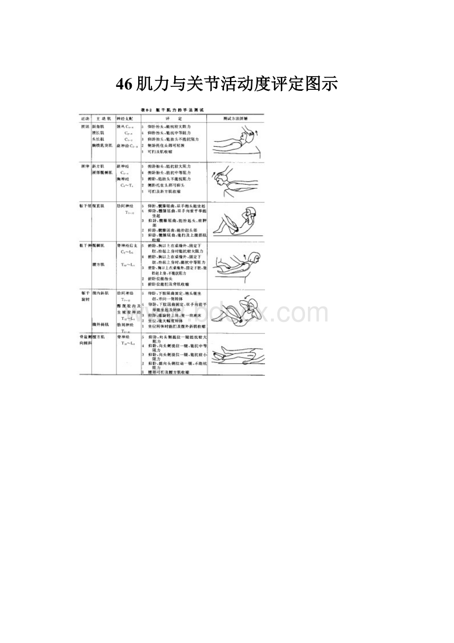 46肌力与关节活动度评定图示.docx