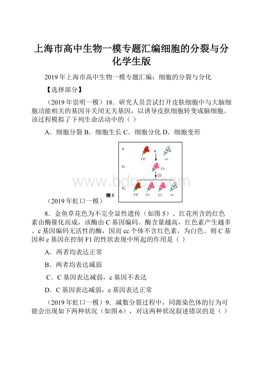 上海市高中生物一模专题汇编细胞的分裂与分化学生版.docx_第1页