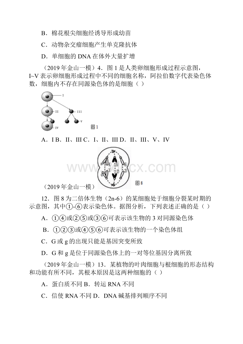 上海市高中生物一模专题汇编细胞的分裂与分化学生版.docx_第3页