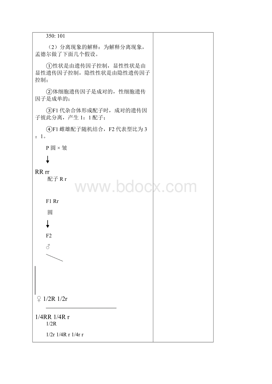 第二章孟德尔遗传11228.docx_第3页