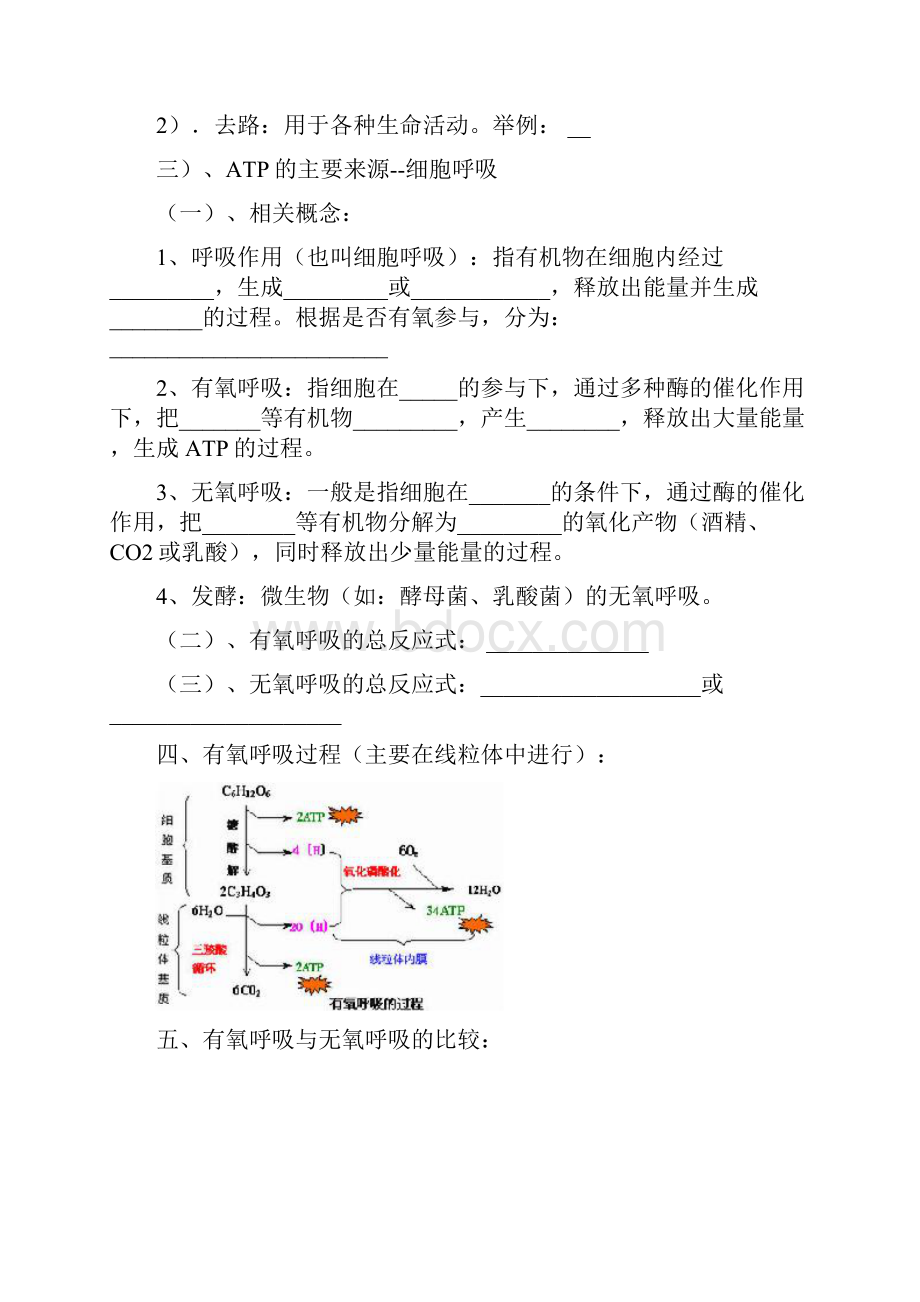 13细胞的代谢2.docx_第2页