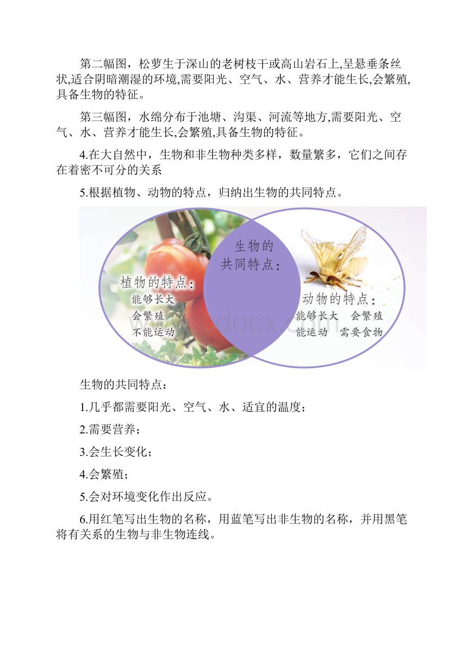 新苏教版科学四年级下册第五单元《生物与环境》知识点整理.docx_第3页