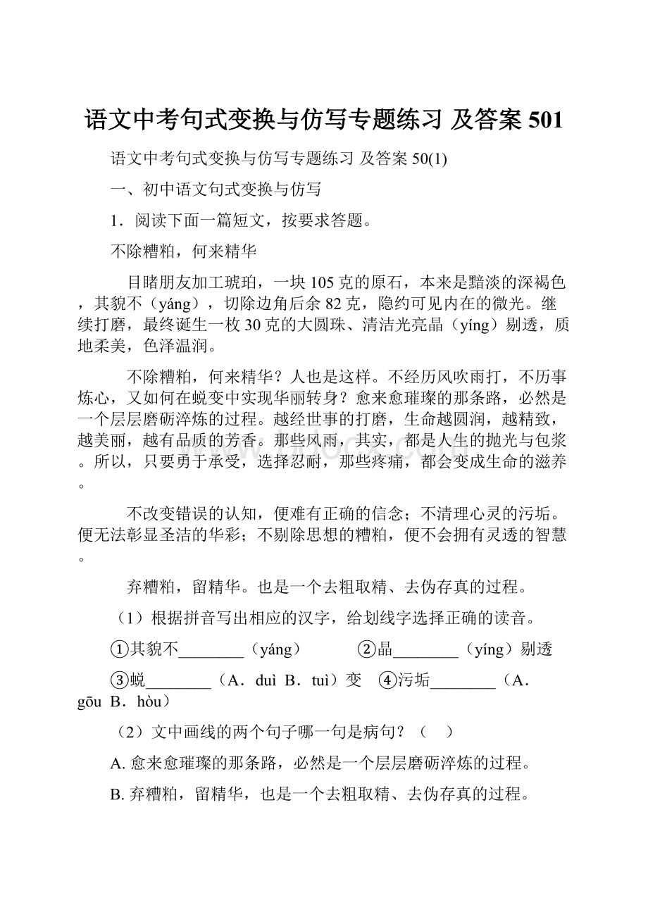 语文中考句式变换与仿写专题练习 及答案501.docx_第1页