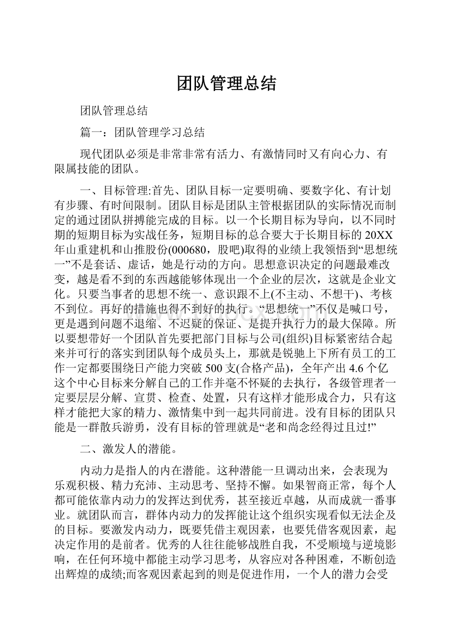 团队管理总结.docx