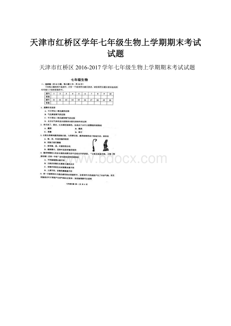 天津市红桥区学年七年级生物上学期期末考试试题.docx