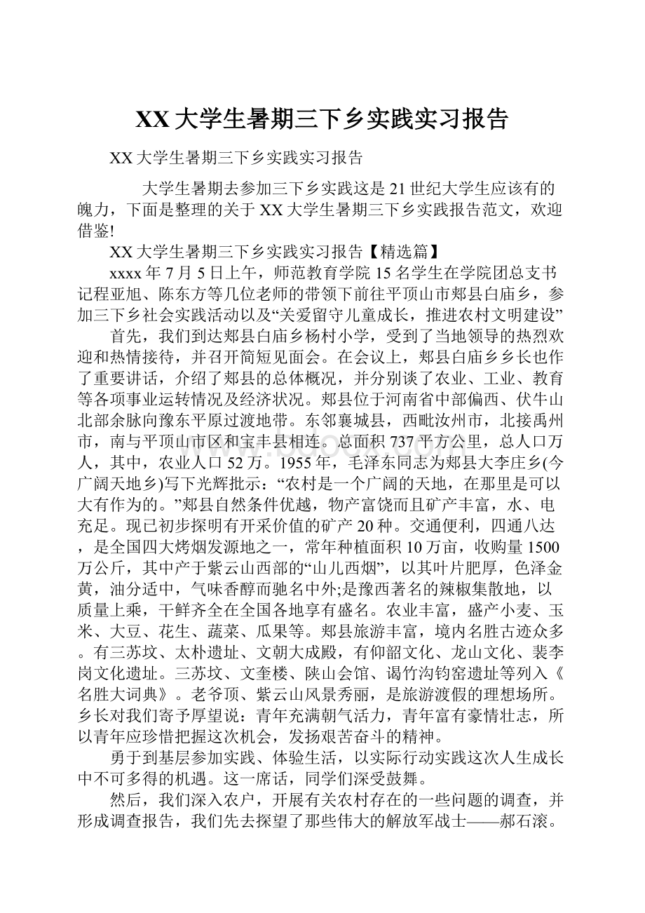 XX大学生暑期三下乡实践实习报告.docx_第1页