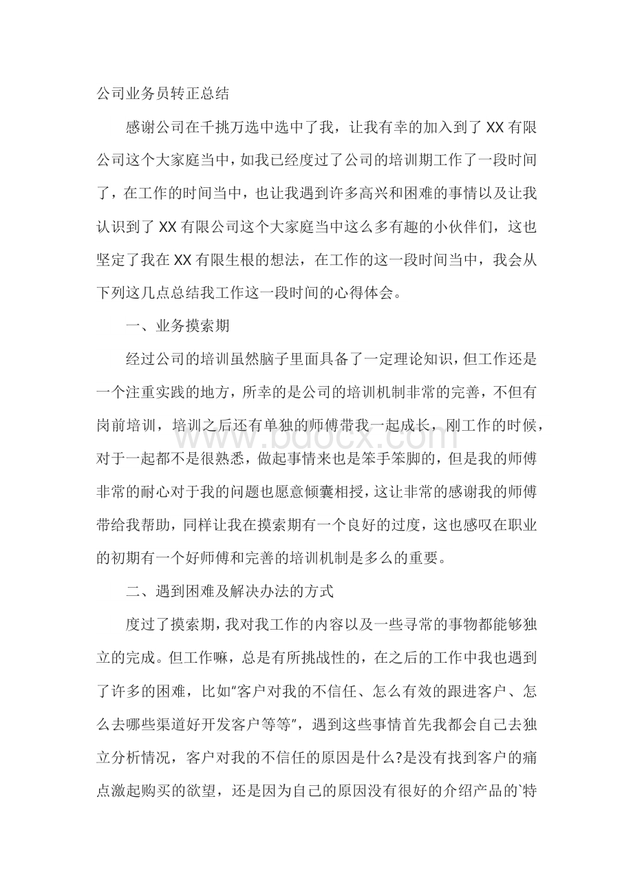 公司业务员转正总结.docx