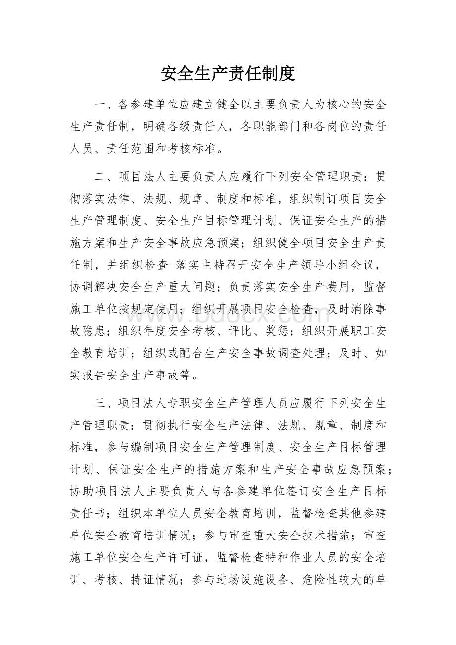 水利工程项目法人安全生产责任制度.docx