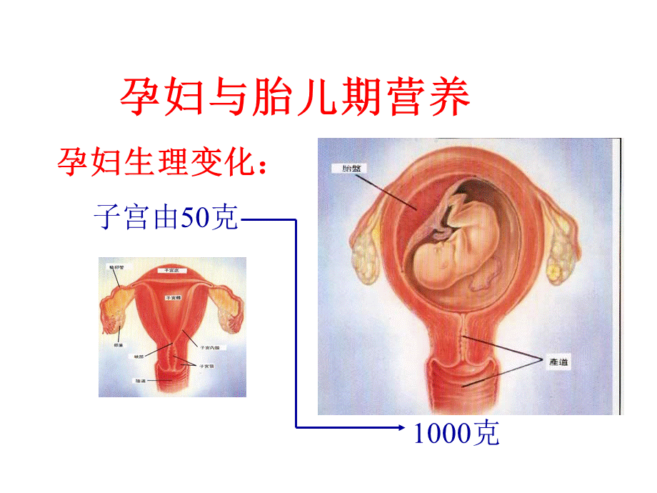 女性健康与营养.ppt_第3页