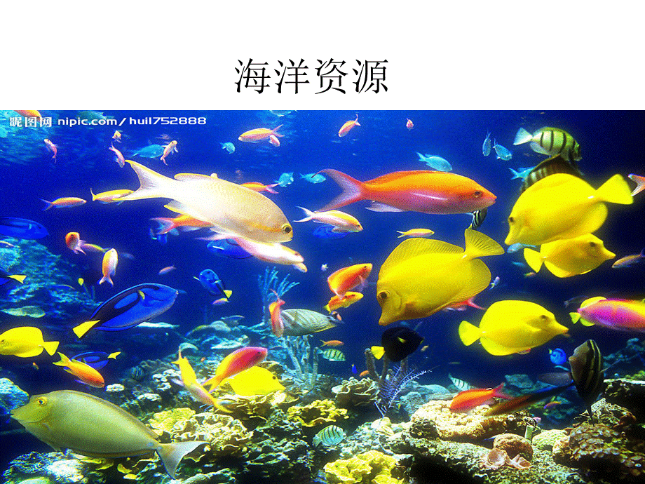 海洋资源.ppt.ppt