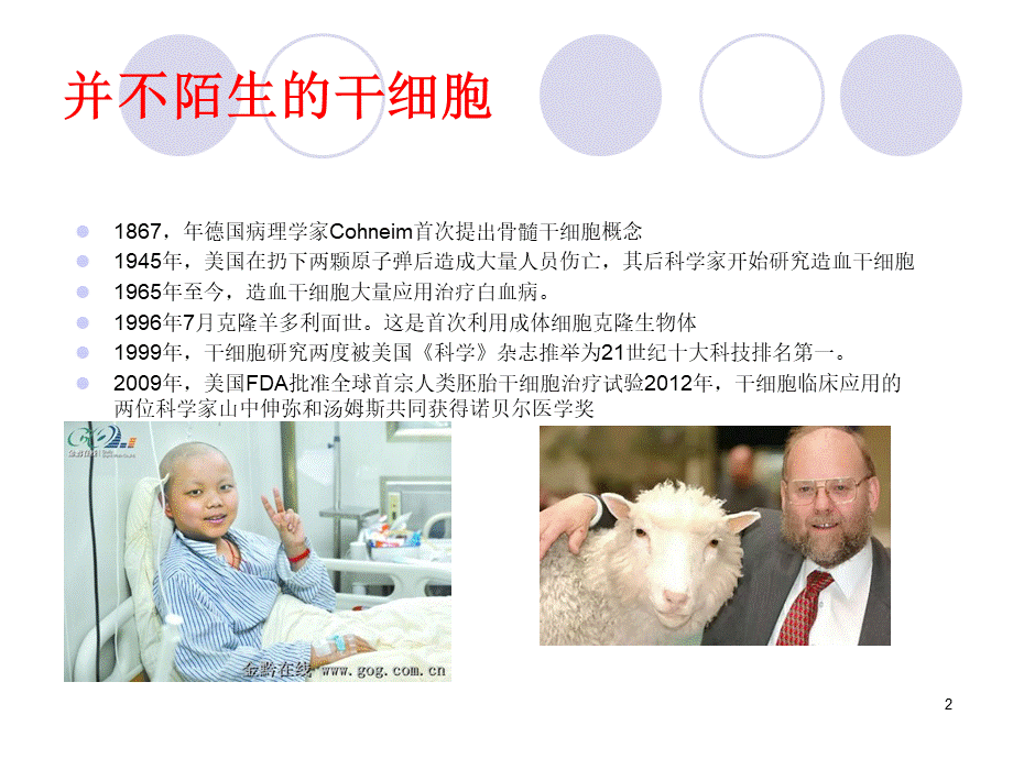 干细胞概述ppt课件.ppt_第2页