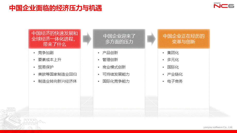 NC6,大型企业管理与电子商务平台.pptx_第3页