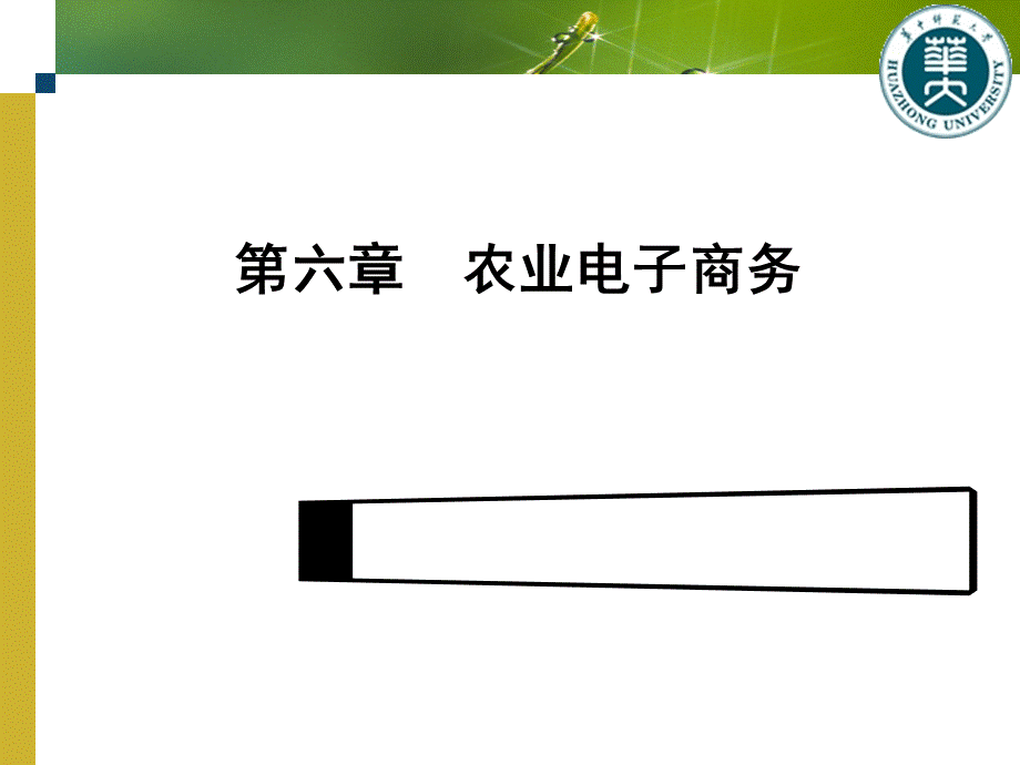 第六章 农业电子商务.pptx_第1页