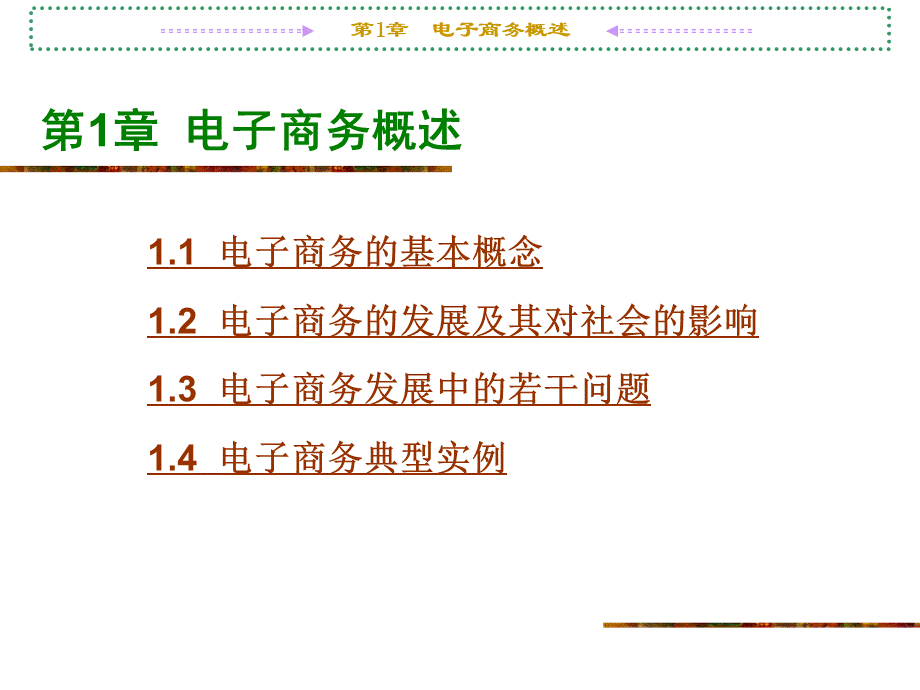 电子商务_张丽姝_第1章电子商务概述.pptx