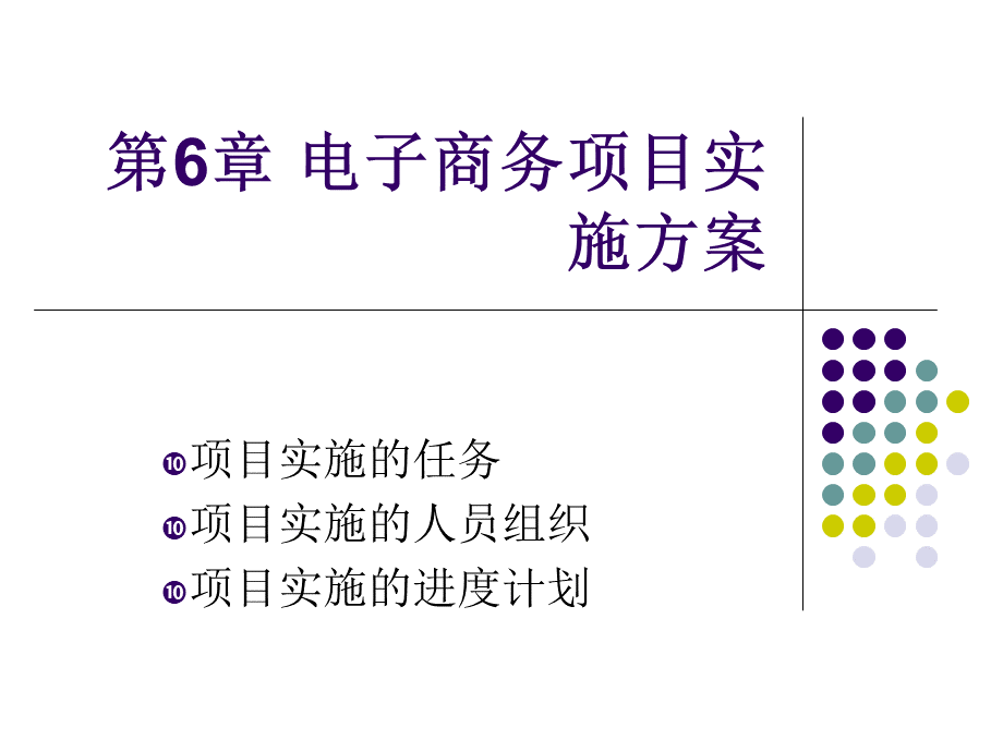 第6章电子商务项目实施方案.pptx