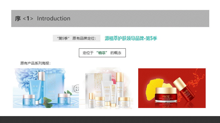 电商品牌形象策划方案.pptx_第2页