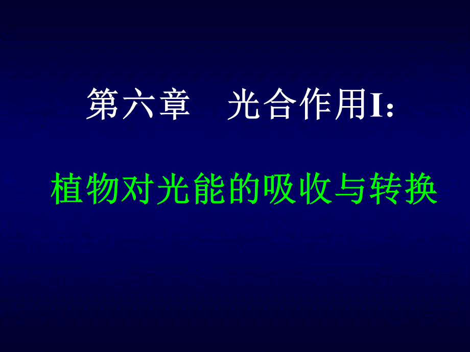 12第六章光合作用I：植物对光能的吸收与转换.ppt