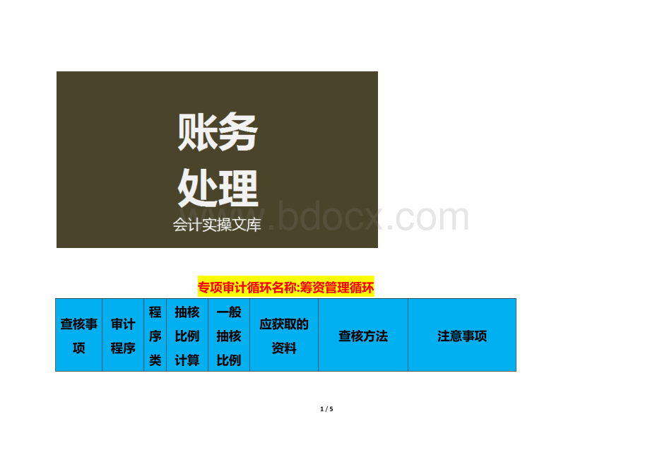 专项审计-筹资管理循环审计内容.docx_第1页