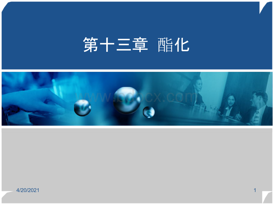 精细有机合成技术 教学课件 作者 薛叙明 主编 刘同卷 主审 第十三章.pptx