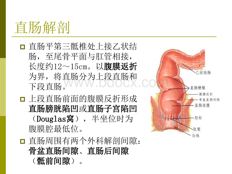 腹腔镜直肠癌根治术术中配合 (1).pptx_第2页