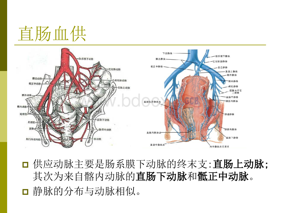 腹腔镜直肠癌根治术术中配合 (1).pptx_第3页