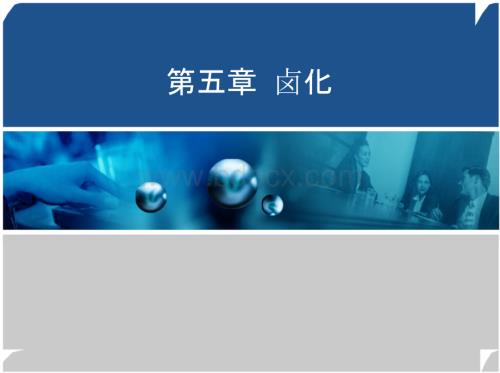 精细有机合成技术 教学课件 ppt 作者 薛叙明 主编 刘同卷 主审第五章.pptx