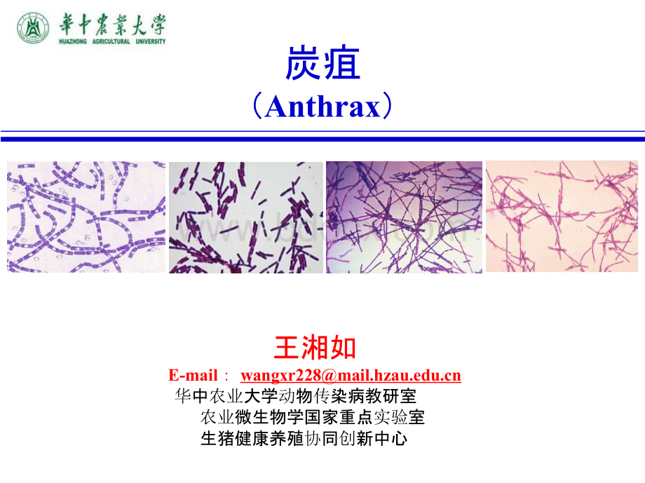 (动物传染病学课件)炭疽.pptx