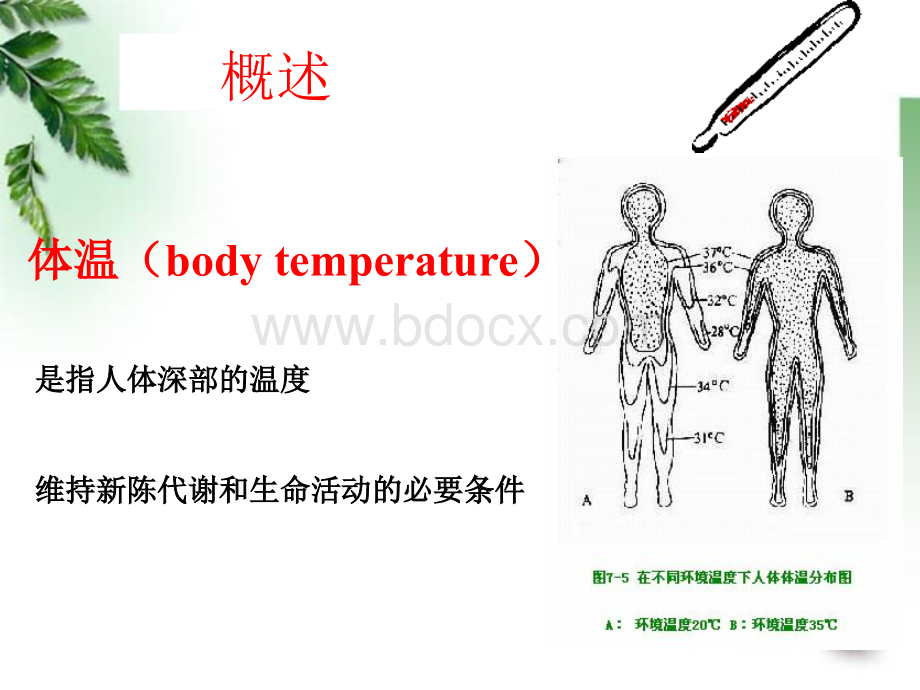 发热.ppt_第3页