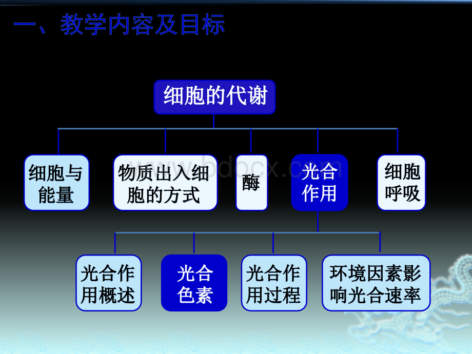 [说课]光合色素的提取和分离-陈月艳20151102.pptx_第3页