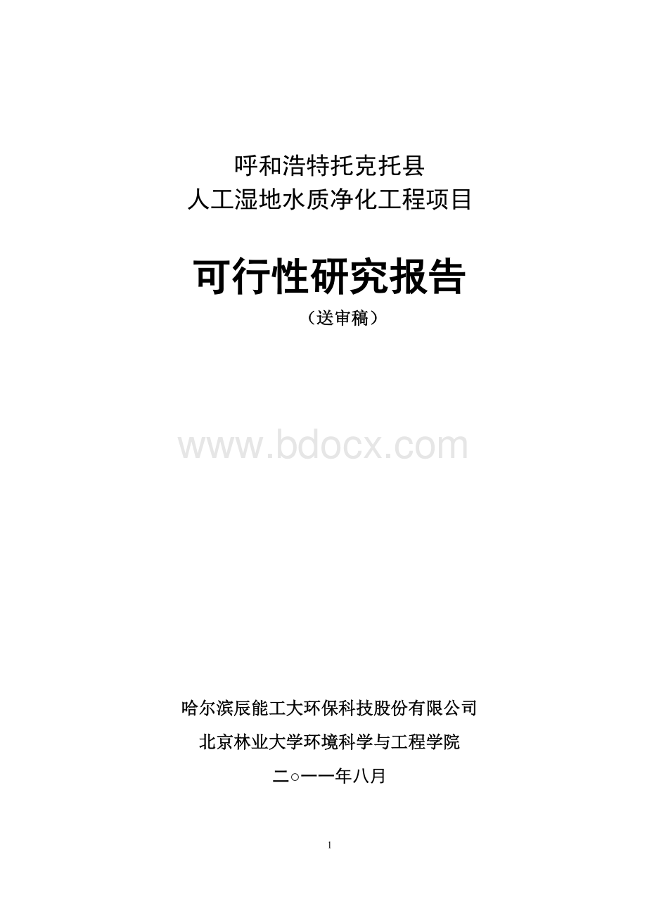 人工湿地水质净化工程项目_可行性研究报告.doc