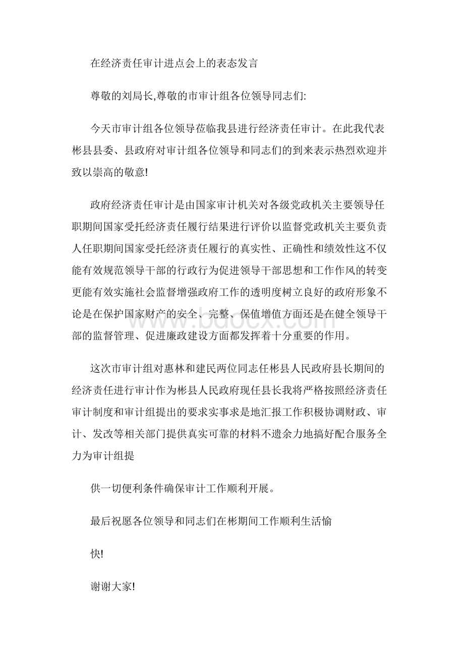 审计工作表态发言.docx_第3页