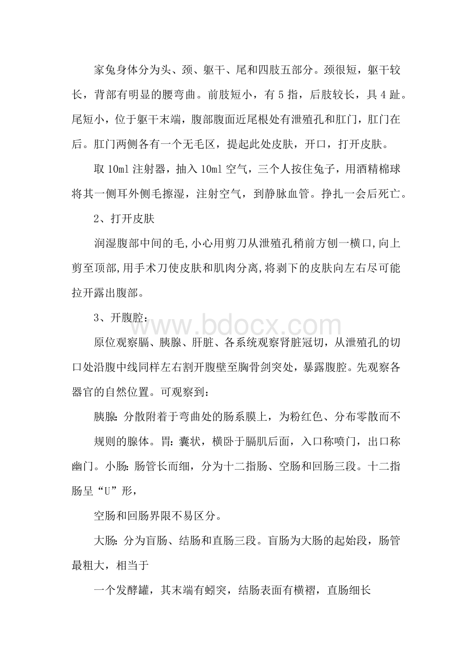 解剖兔子实验报告.docx_第2页