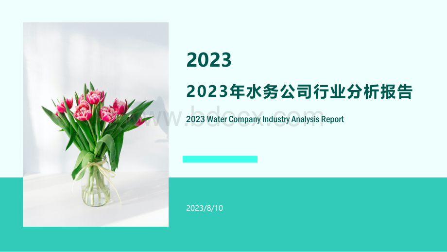 2023年水务公司行业分析报告..pptx_第1页