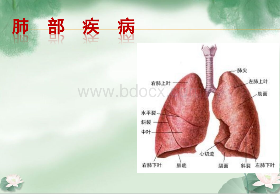 肺部疾病ppt.pptx_第1页