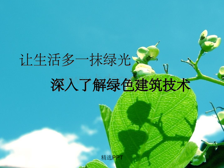 《绿色建筑技术》PPT课件.ppt