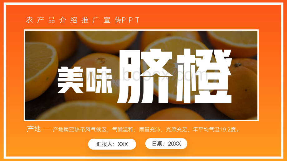 美味脐橙农产品介绍宣传推广PPT动态模板_20XRM88405.pptx