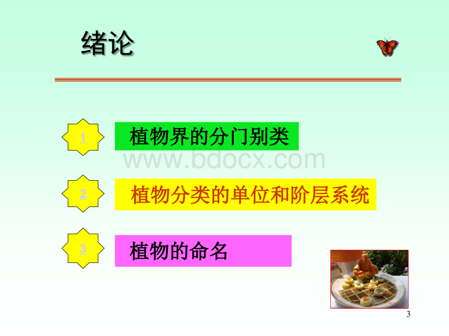 植物学全套课件304p.ppt_第3页