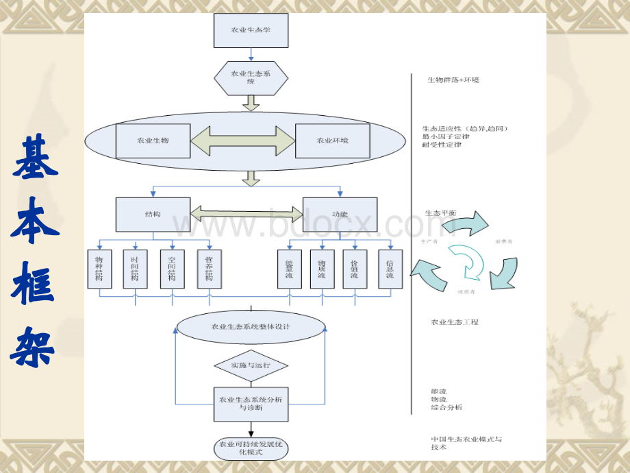 农业生态学全套精品课件.ppt_第2页