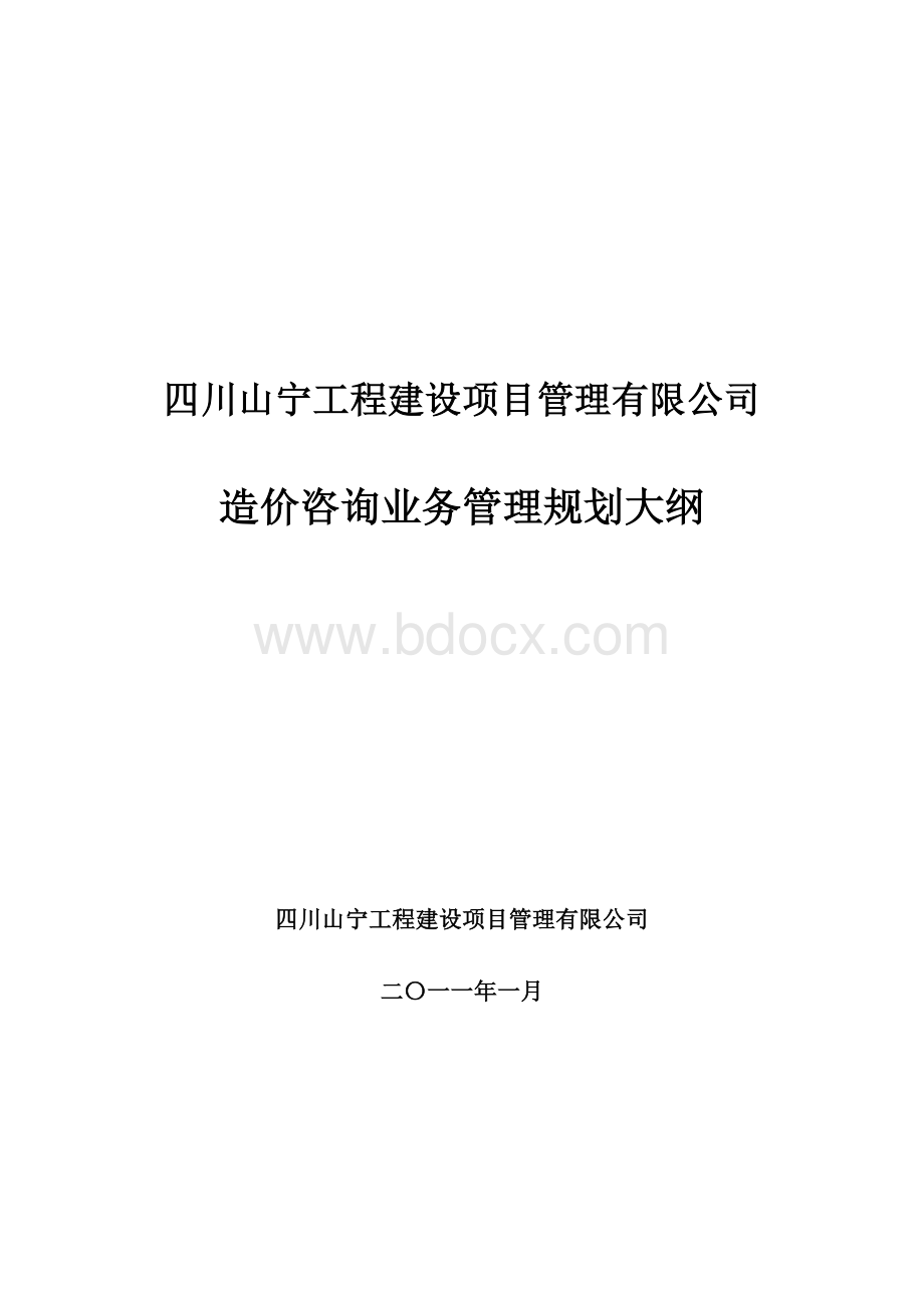 造价咨询业务管理规划大纲 (2).doc_第1页