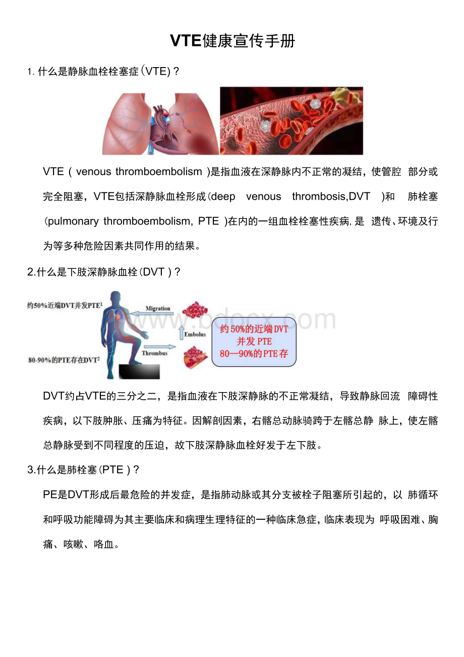 VTE健康宣传手册.docx_第1页